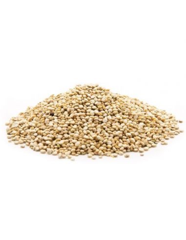 Mooniseemned 500g