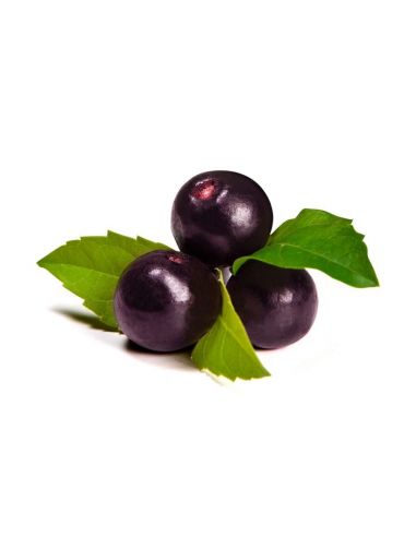 Assai (acai) pulber 100g