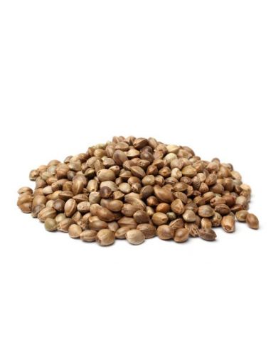 Kanepiseemned 150g