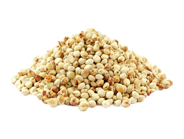 Mahe GF sorgo valge...
                         