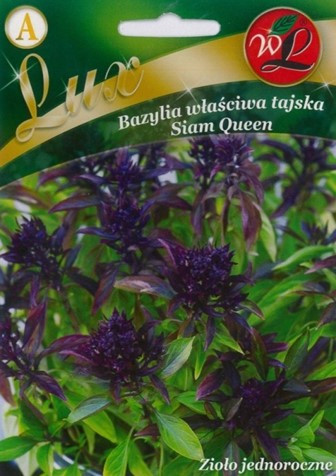 Tai basiiliku Siam Queen...
                         