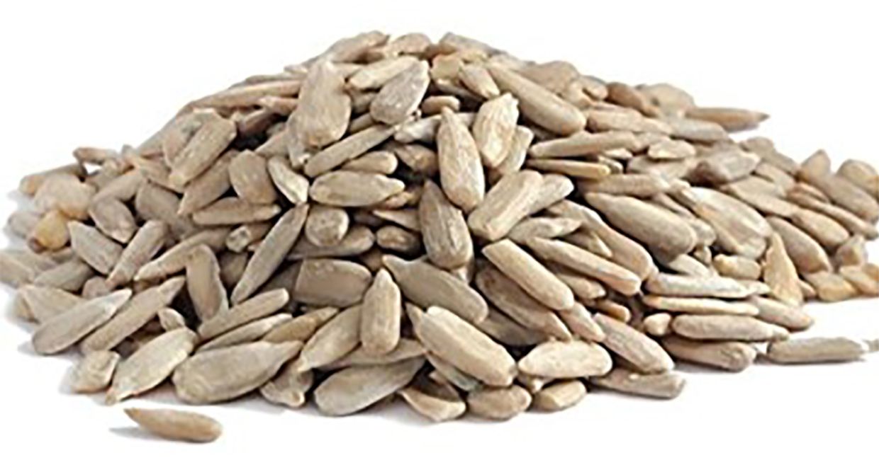 Saulėgrąžų sėklos 5kg
                         
