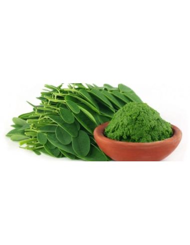 MORINGA